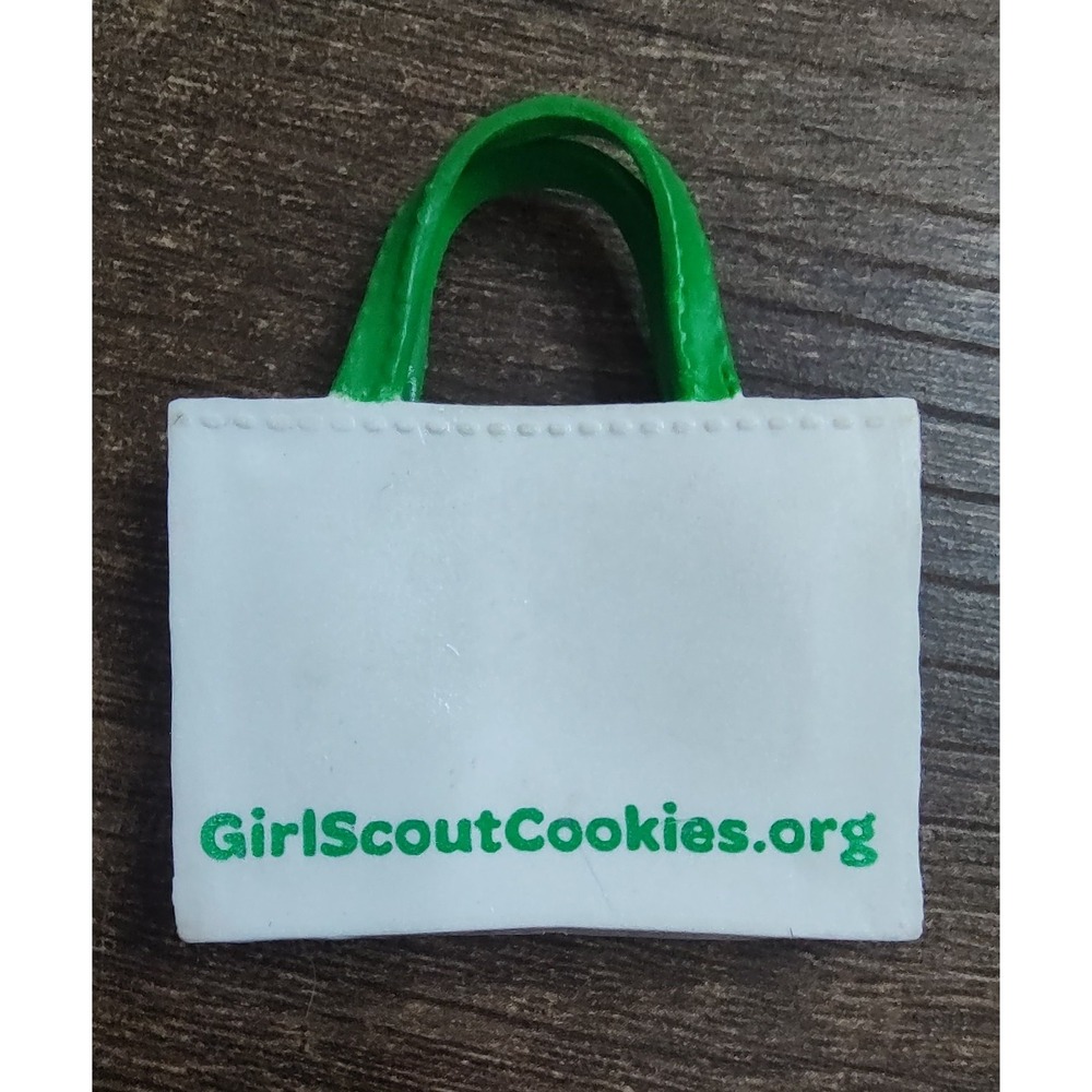 Barbie Loves Girl Scouts 2014 Mattel Cookie Tote Bag & Sash Accessories Z33